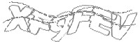 Check code